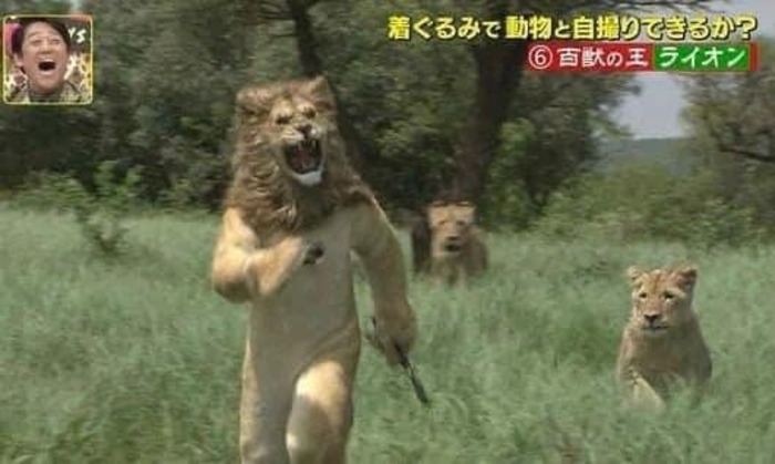 3 Contoh Hal Konyol Yang Pernah dilakukan Manusia